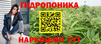 соль ск Новокубанск