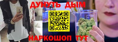 spice Новодвинск