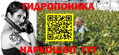 соль ск Новокубанск