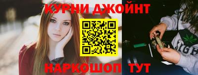 spice Новодвинск
