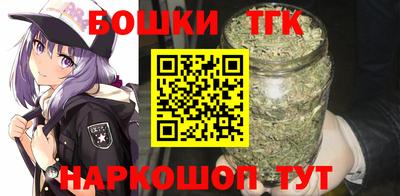 spice Новодвинск