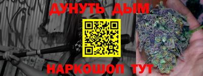 spice Новодвинск